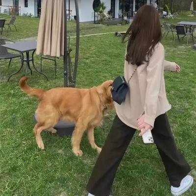 拜访森林